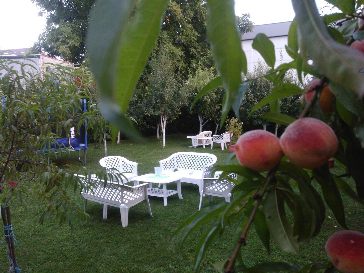Elite Apartment Jasmina Bihać Kültér fotó