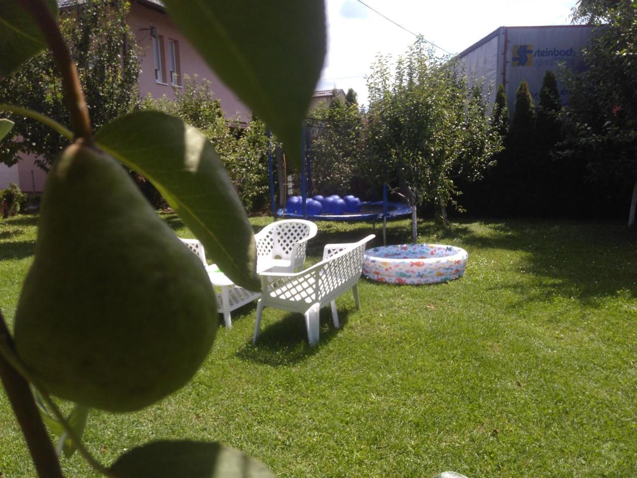 Elite Apartment Jasmina Bihać Kültér fotó
